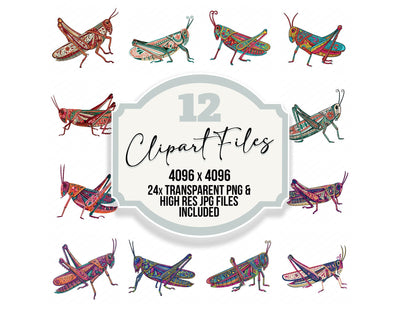 Folk Art Grasshopper Clipart Set (DDD013833)
