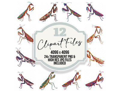Folk Art Praying Mantis Clipart Set (DDD013836)