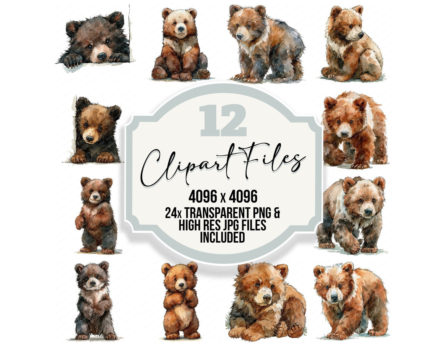 Realistic Baby Bear Cub Clipart Set (DDD013842)