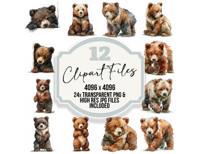 Realistic Baby Bear Cub Clipart Set (DDD013842)