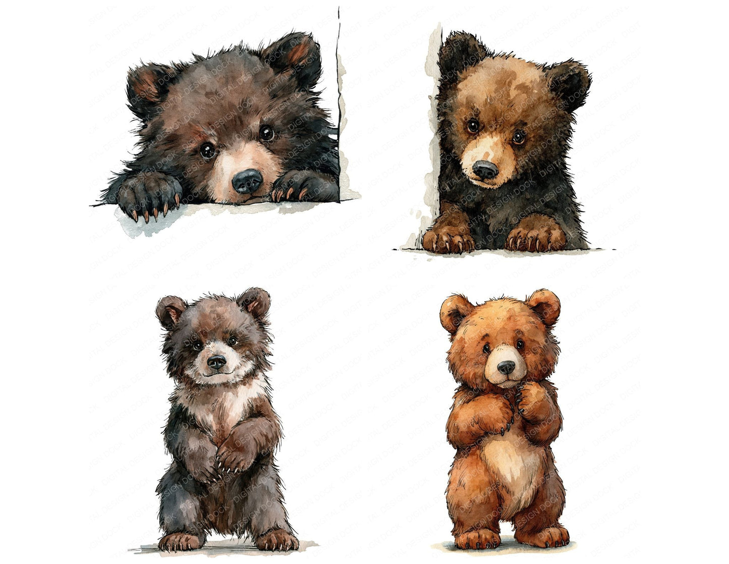 Realistic Baby Bear Cub Clipart Set (DDD013842)