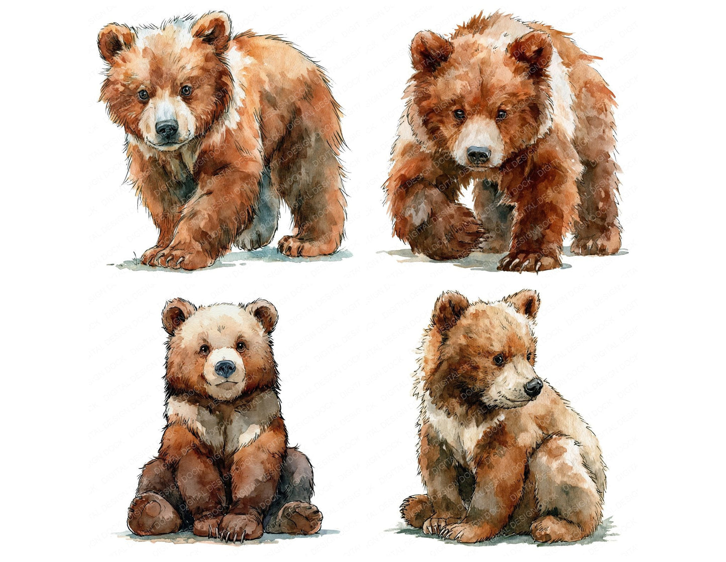 Realistic Baby Bear Cub Clipart Set (DDD013842)