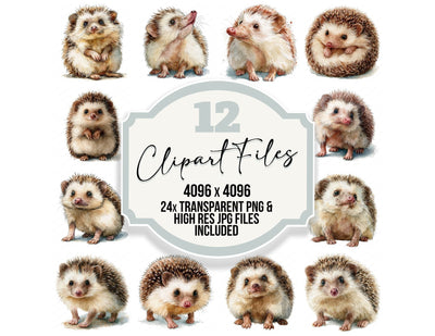 Realistic Baby Hedgehog Hoglet Clipart Set (DDD013843)