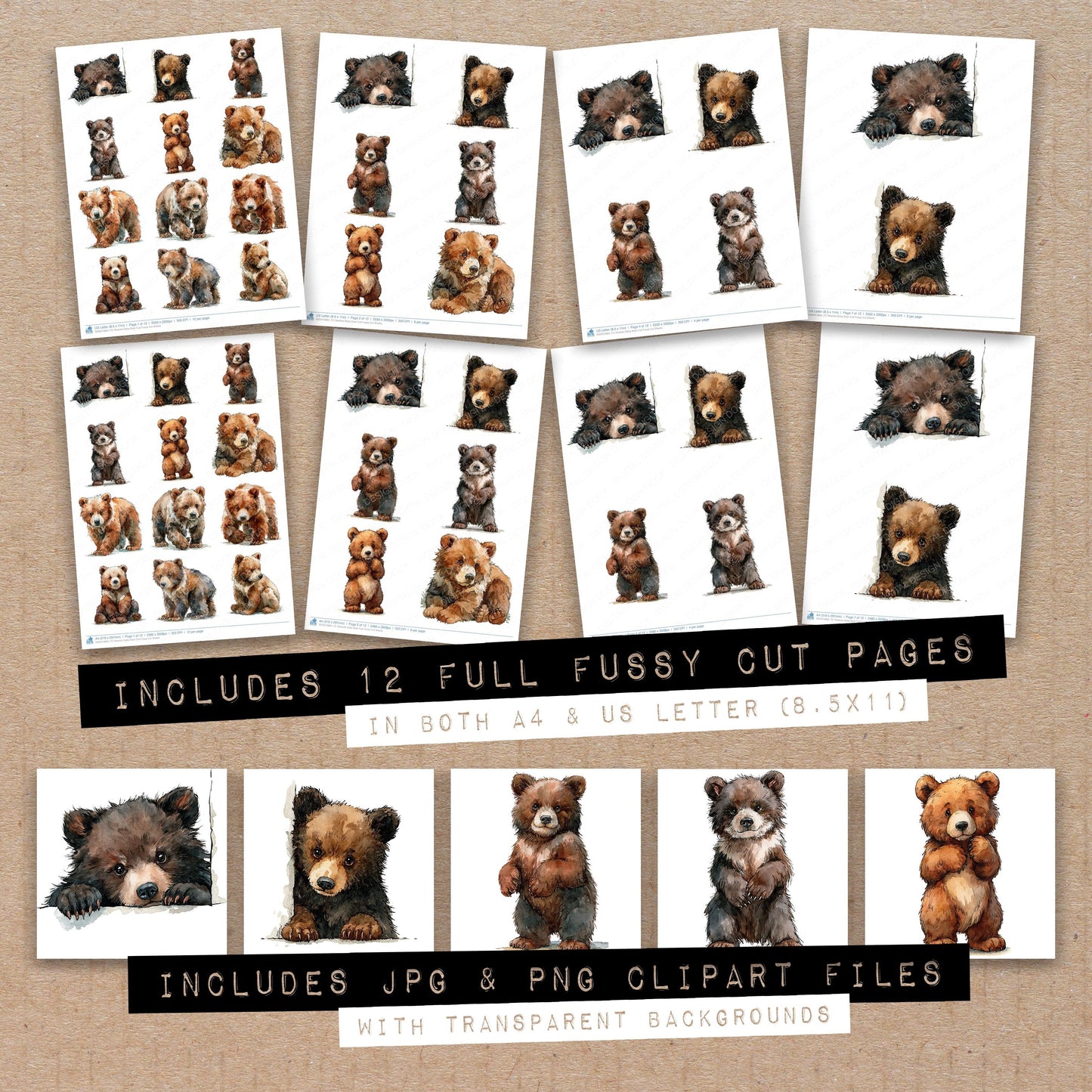 Realistic Baby Bear Cub Fussy Cut Sheets (DDD013862)