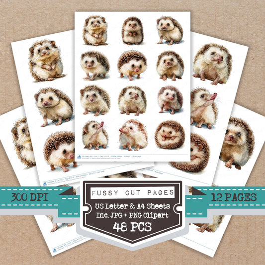 Realistic Baby Hedgehog Hoglet Fussy Cut Sheets (DDD013863)