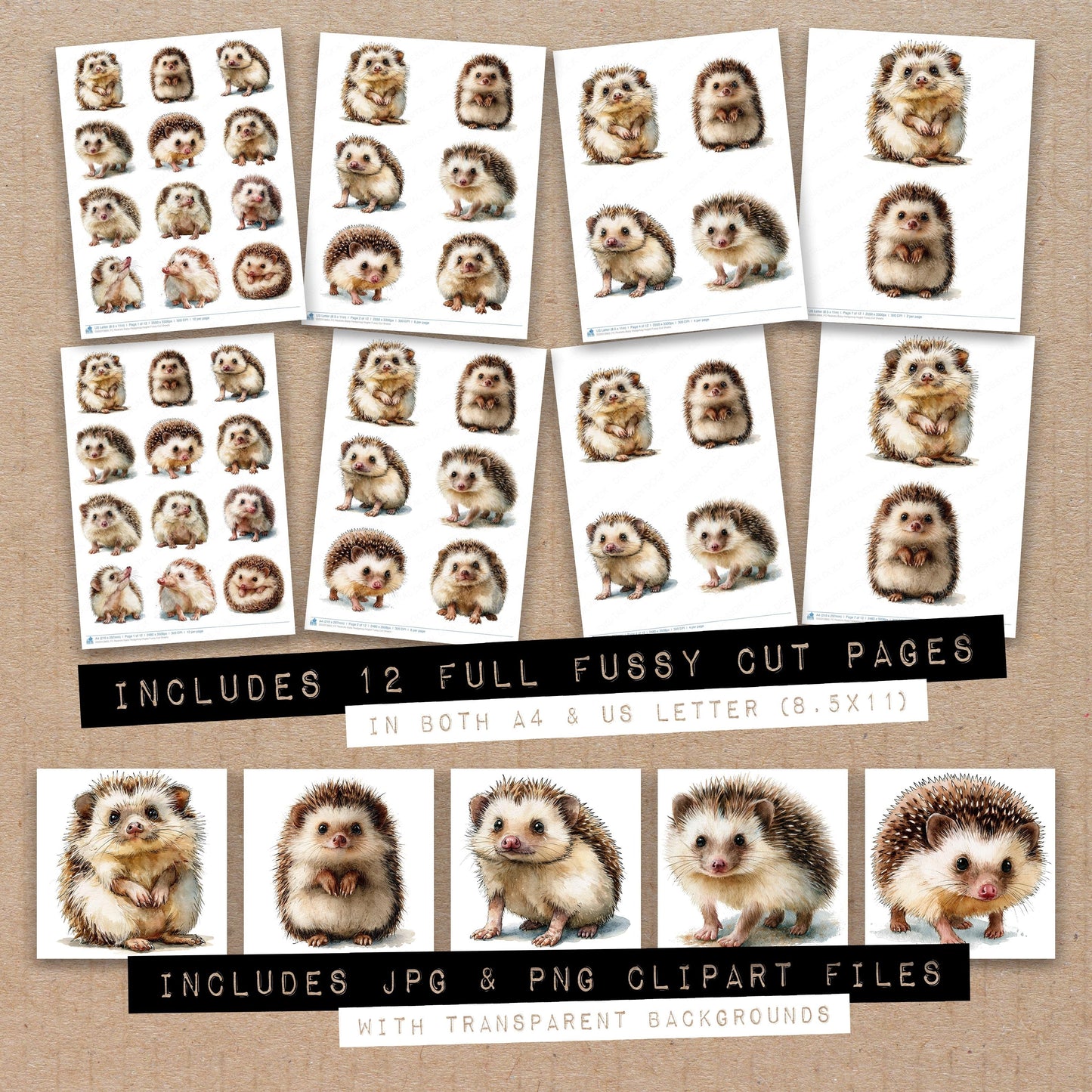 Realistic Baby Hedgehog Hoglet Fussy Cut Sheets (DDD013863)