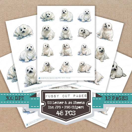 Realistic Baby Seal Pup Fussy Cut Sheets (DDD013864)