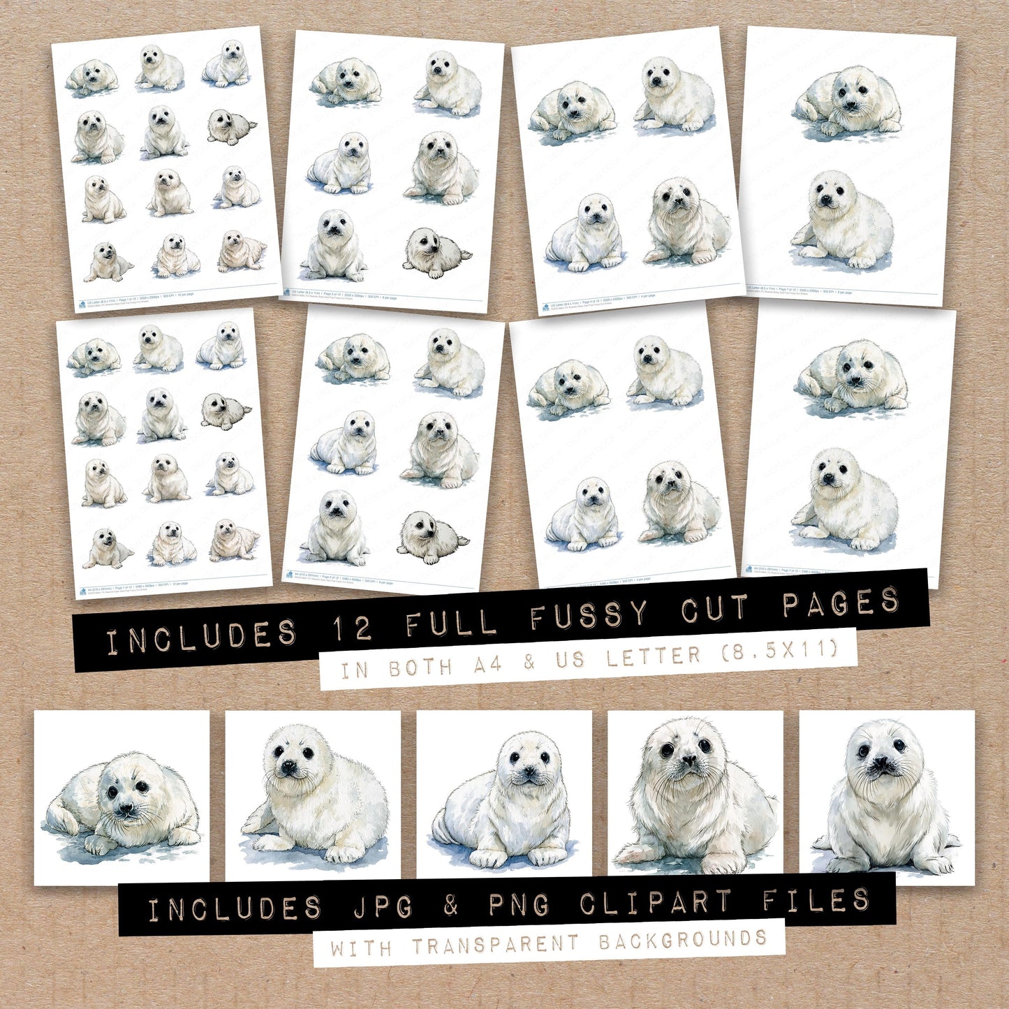 Realistic Baby Seal Pup Fussy Cut Sheets (DDD013864)