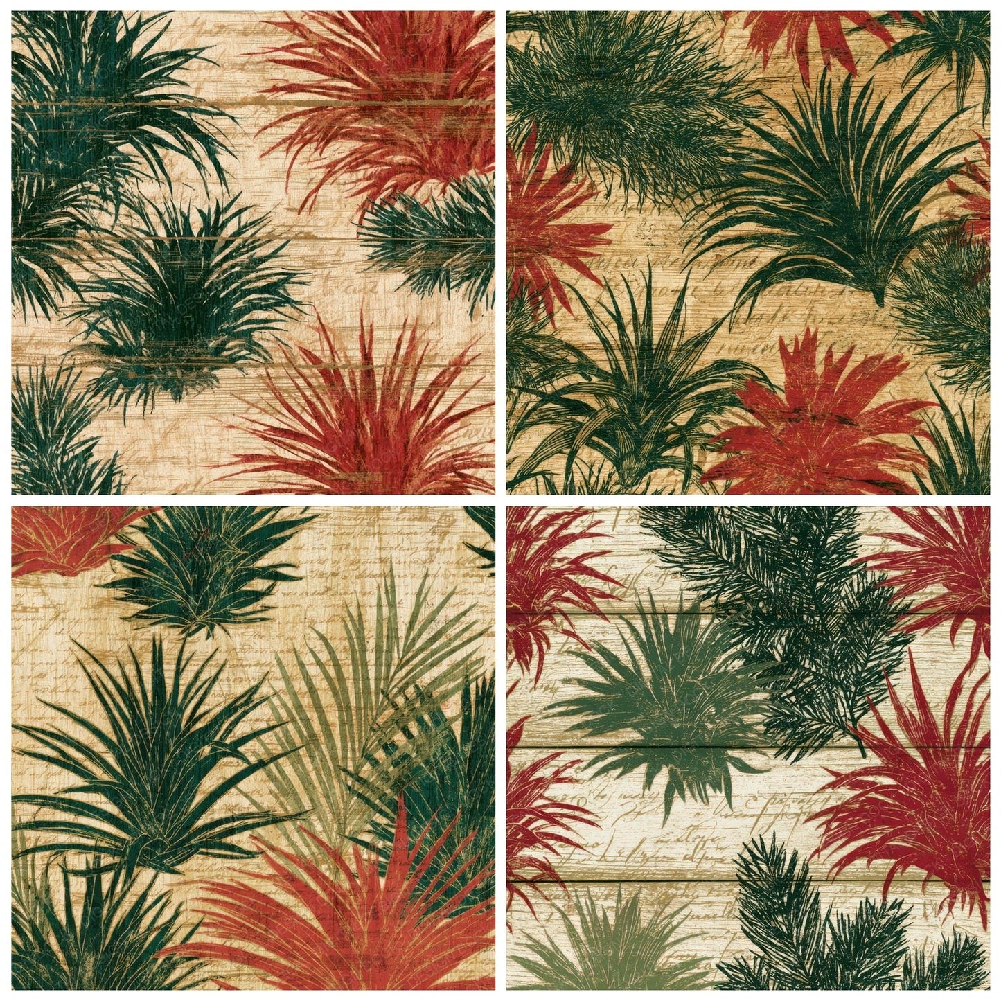 Pyrography Air Plants Crimson Cream Digital Paper Pack (DDD013937)