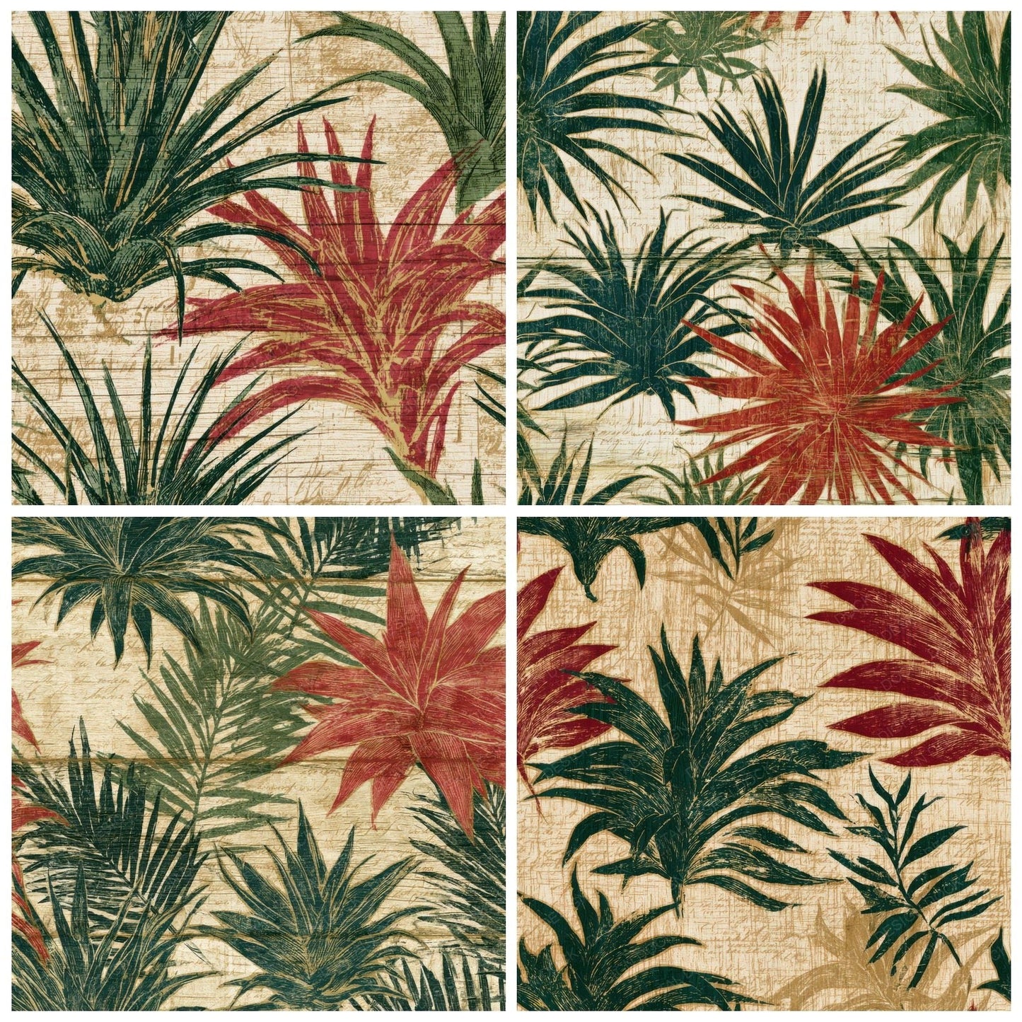 Pyrography Air Plants Crimson Cream Digital Paper Pack (DDD013937)