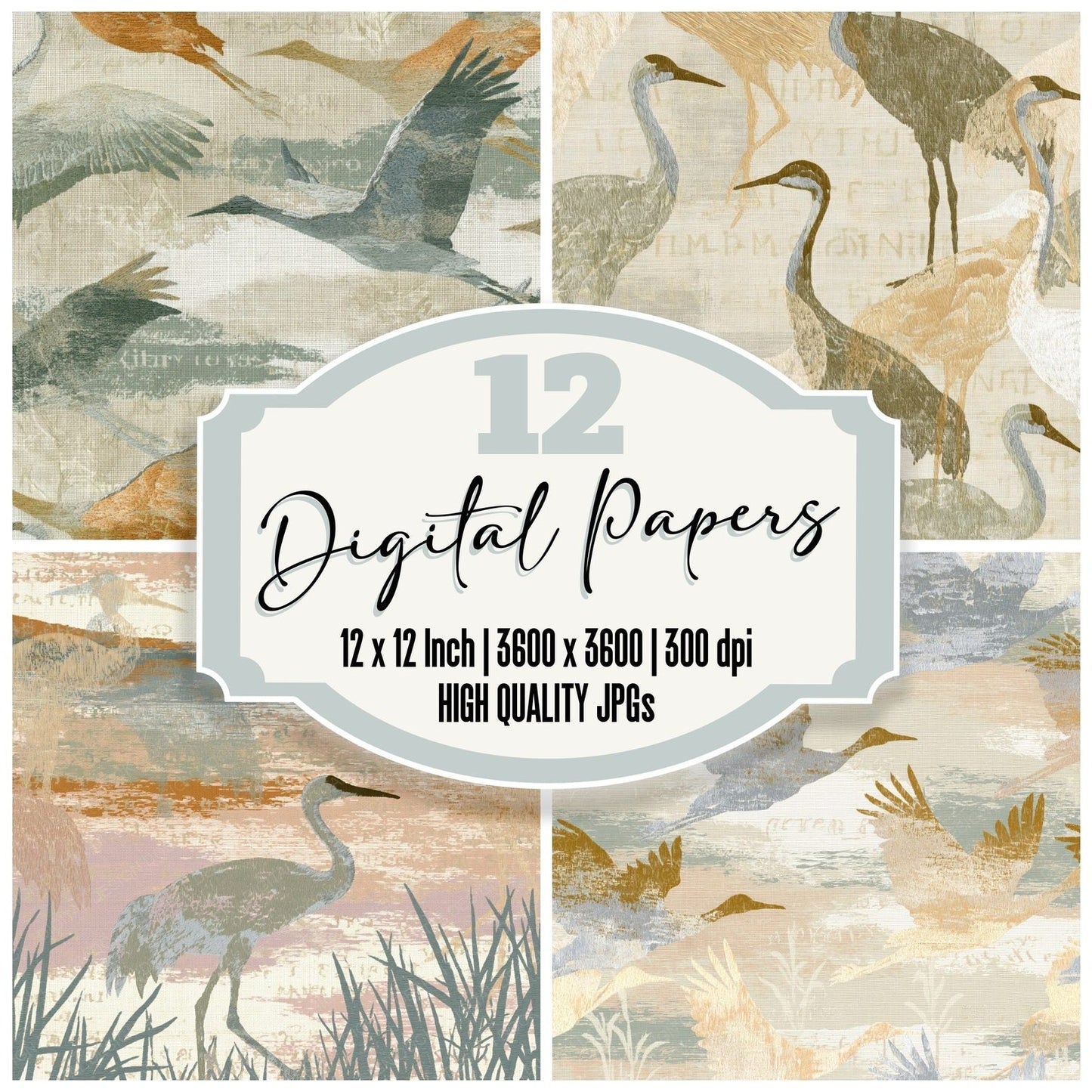 Embroidery Crane Sage Adobe Digital Paper Pack (DDD014054)