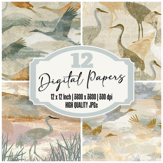 Embroidery Crane Sage Adobe Digital Paper Pack (DDD014054)