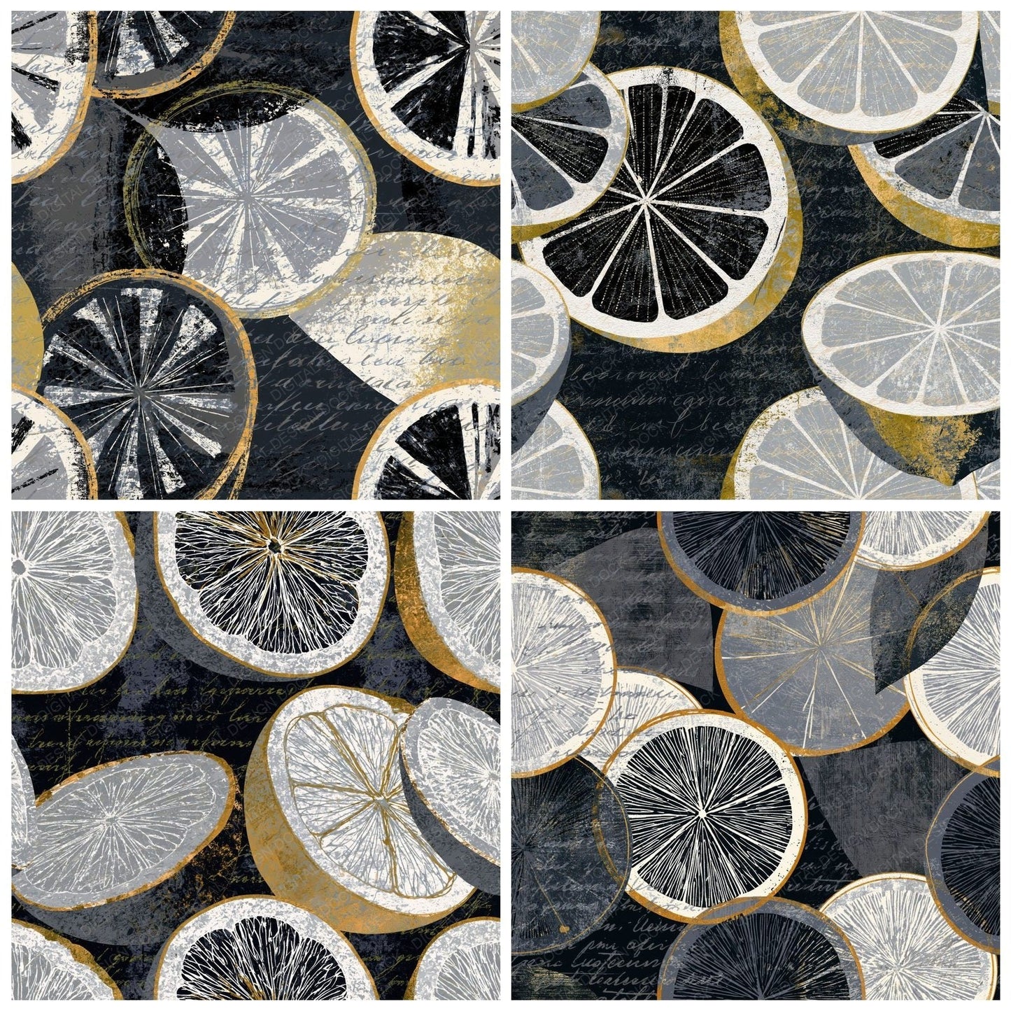 Scratchboard Citrus Halves Dove Grey Digital Paper Pack (DDD014211)