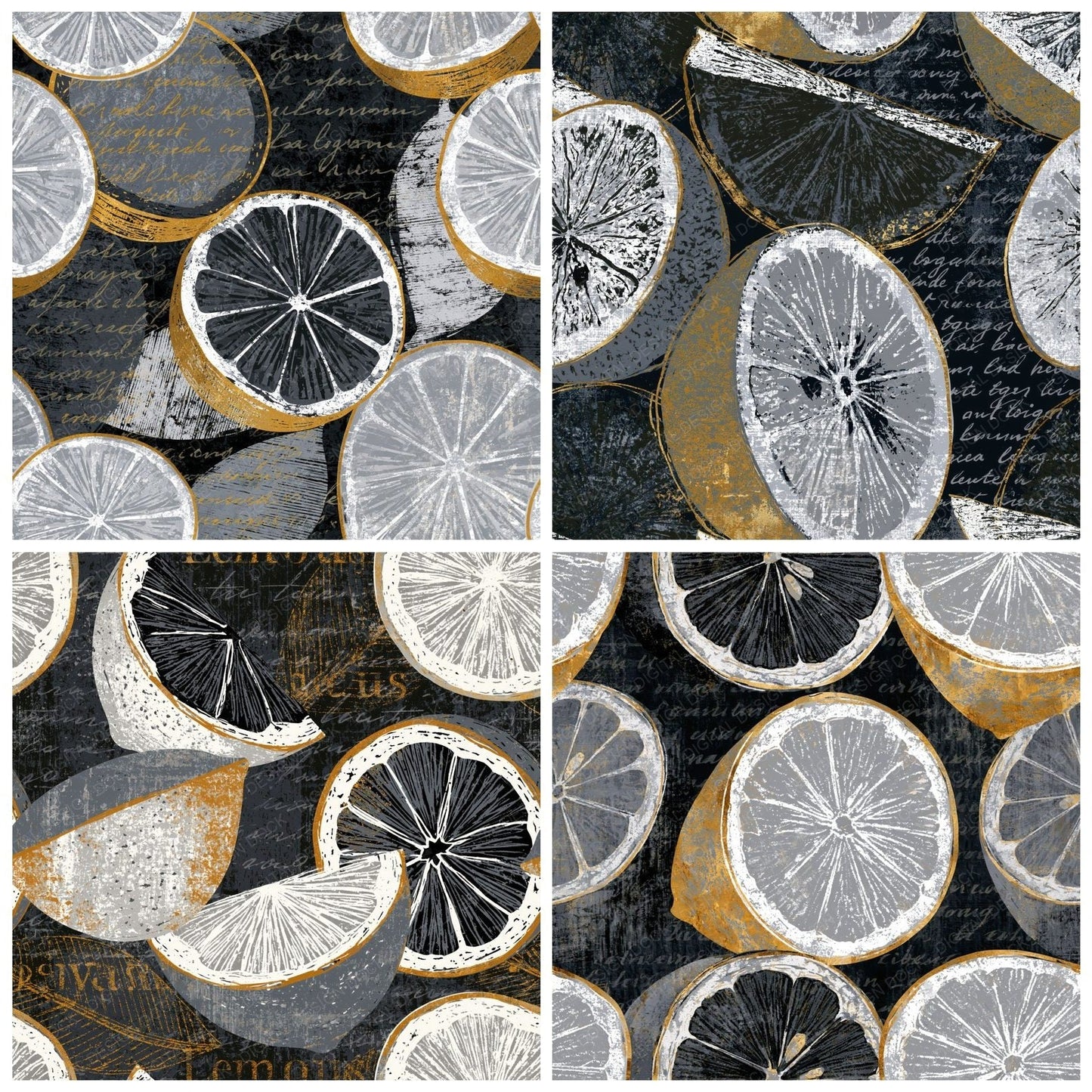 Scratchboard Citrus Halves Dove Grey Digital Paper Pack (DDD014211)