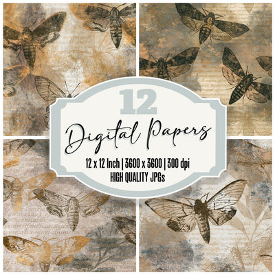 Etching Hawk Moths Sepia Parchment Digital Paper Pack (DDD014227)