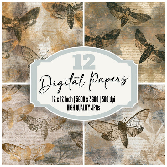 Etching Hawk Moths Sepia Parchment Digital Paper Pack (DDD014227)