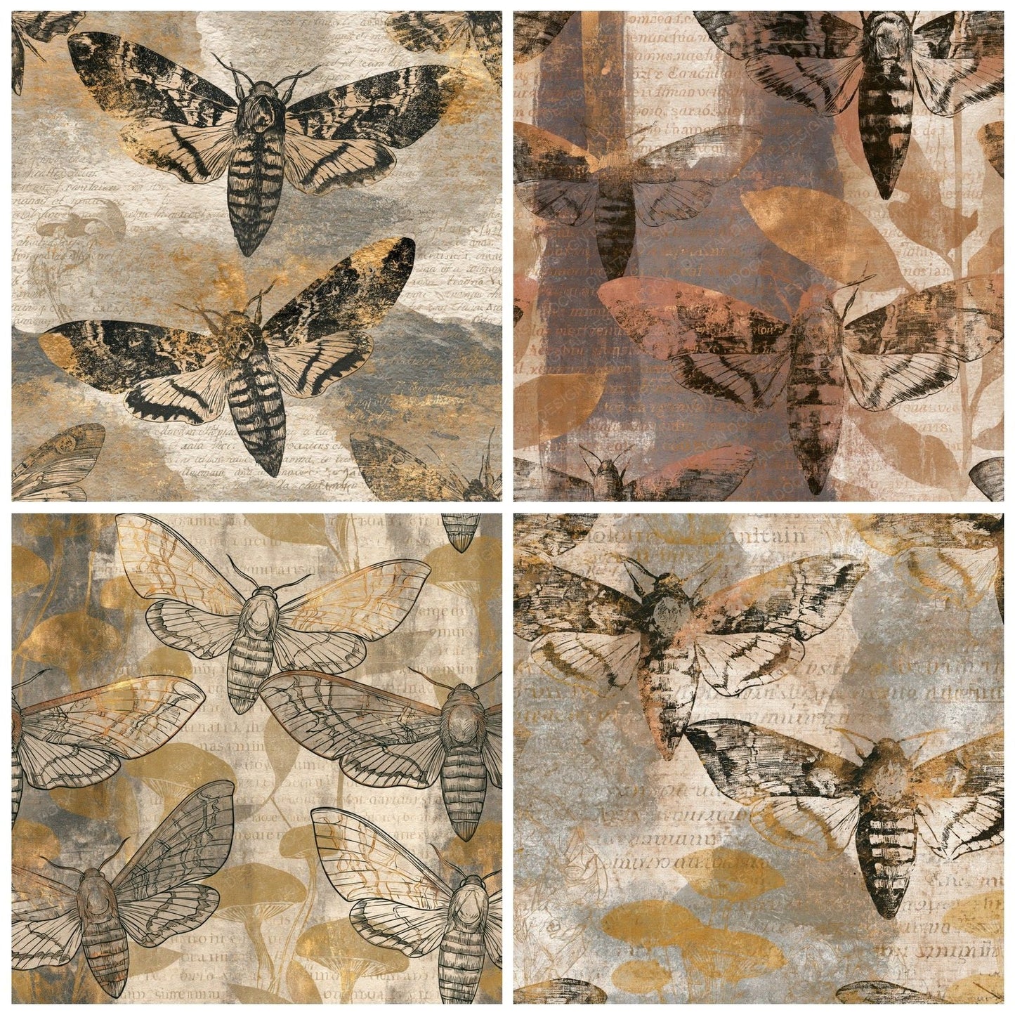 Etching Hawk Moths Sepia Parchment Digital Paper Pack (DDD014227)