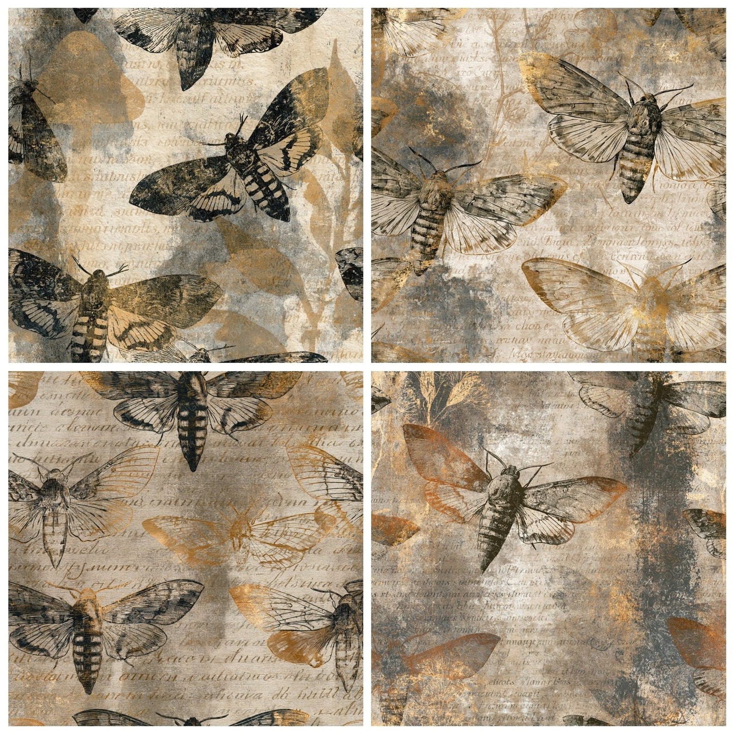 Etching Hawk Moths Sepia Parchment Digital Paper Pack (DDD014227)
