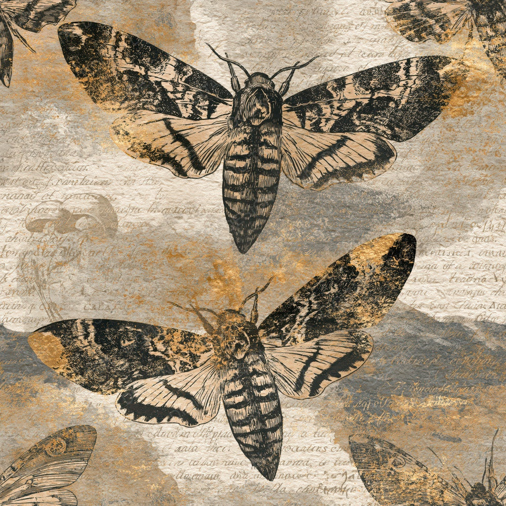 Etching Hawk Moths Sepia Parchment Digital Paper Pack (DDD014227)