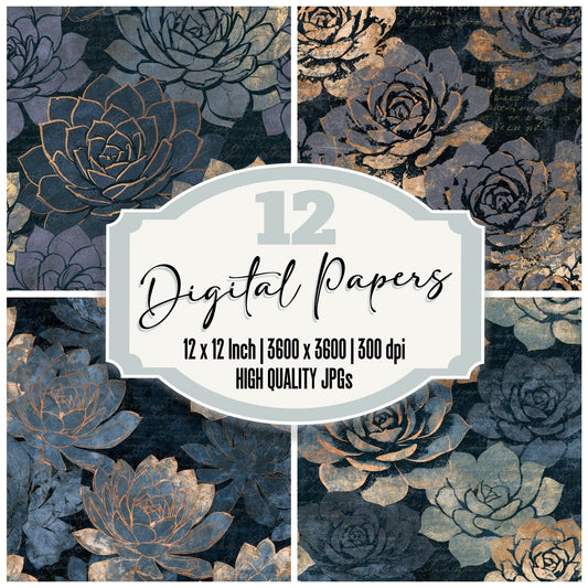 Scratchboard Succulents Sand Dove Digital Paper Pack (DDD014439)