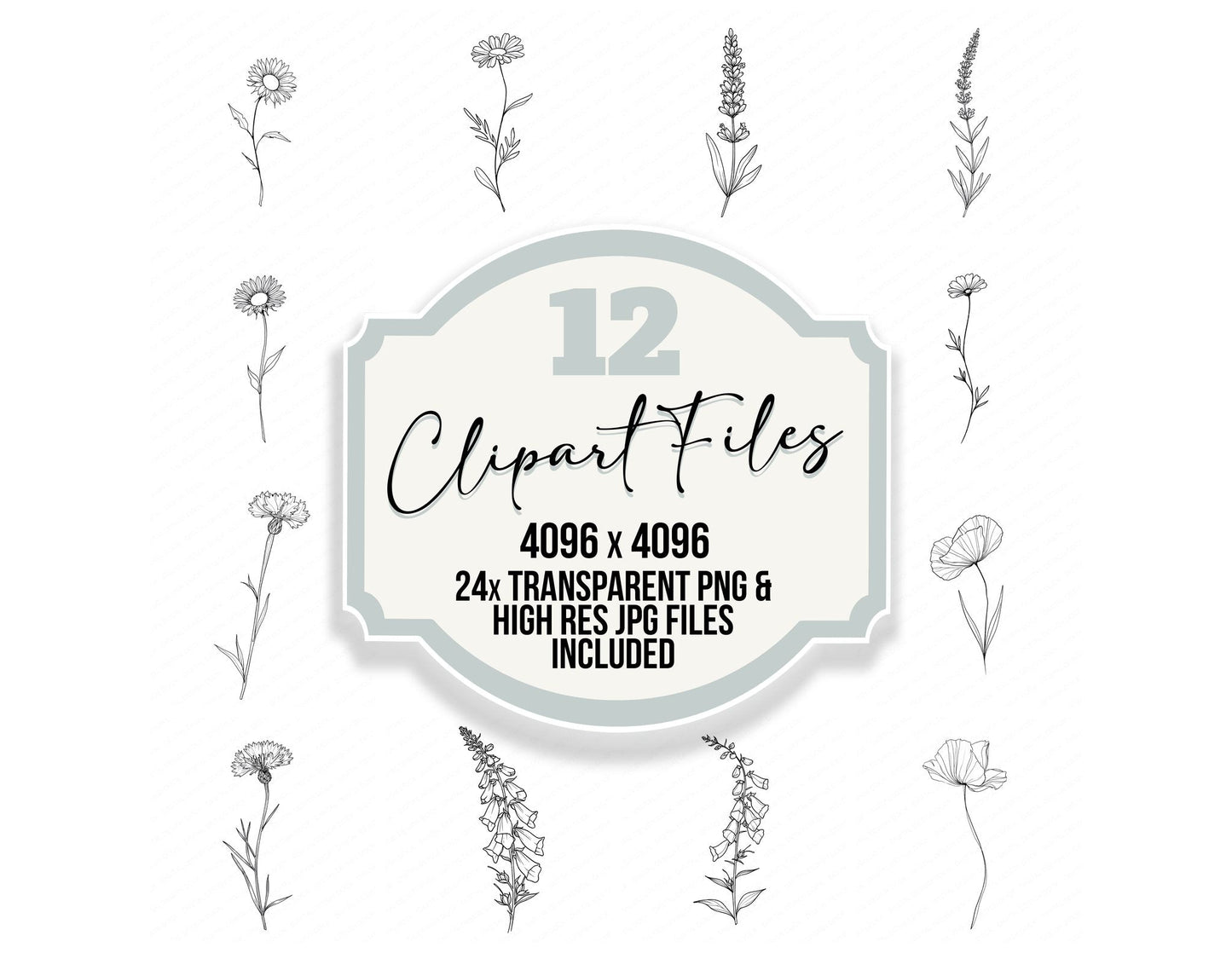 Line Art Wildflower Clipart Set (DDD014477)