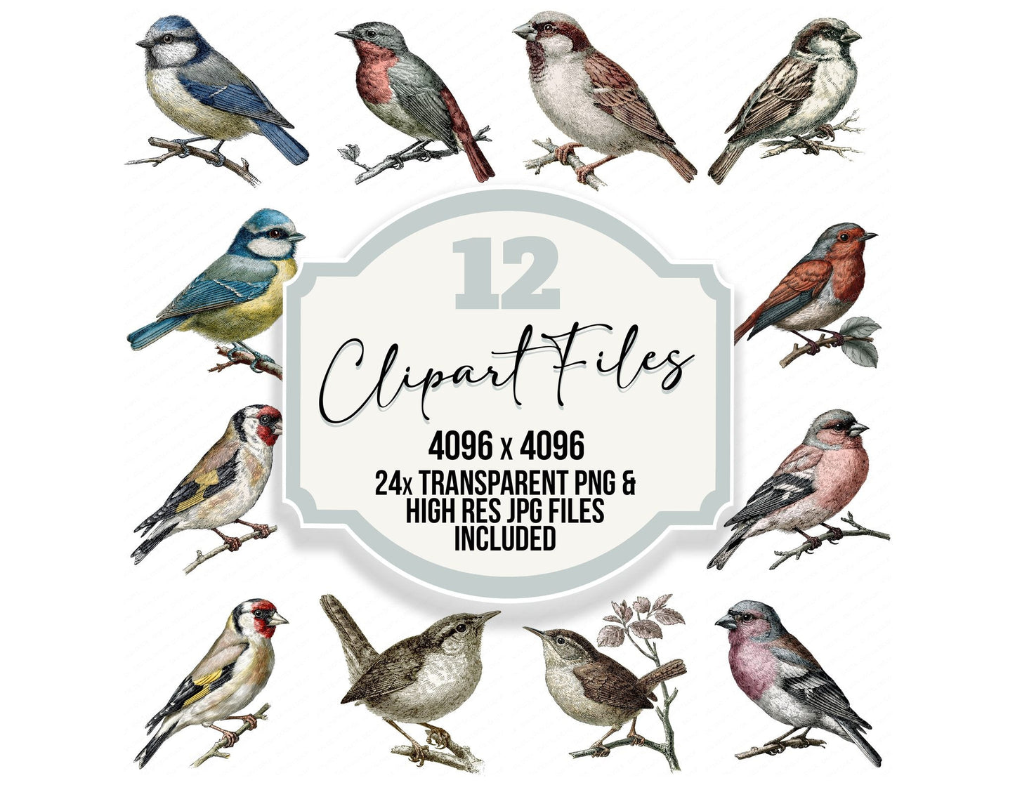 Vintage Botanical Bird Clipart Set (DDD014479)