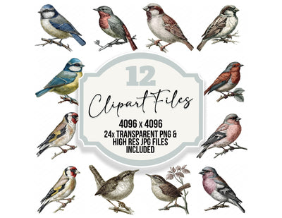 Vintage Botanical Bird Clipart Set (DDD014479)