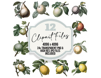 Vintage Botanical Fruit Clipart Set (DDD014480)