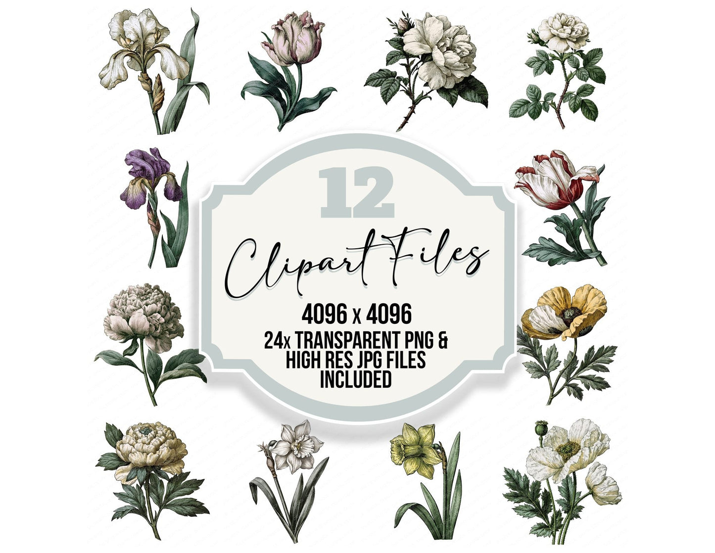 Vintage Botanical Garden Flower Clipart Set (DDD014481)