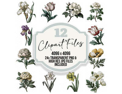 Vintage Botanical Garden Flower Clipart Set (DDD014481)