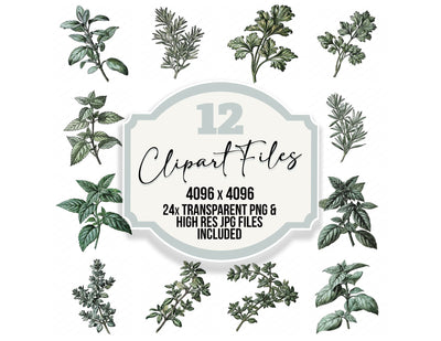 Vintage Botanical Herb Clipart Set (DDD014482)