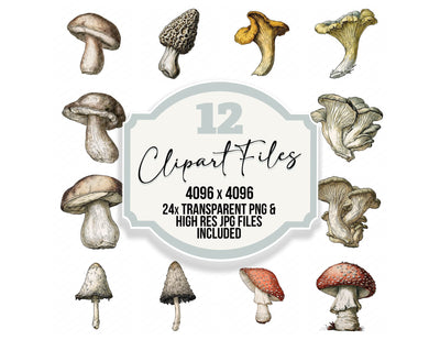 Vintage Botanical Mushroom Clipart Set (DDD014483)