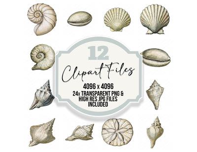 Vintage Botanical Sea Shell Clipart Set (DDD014484)