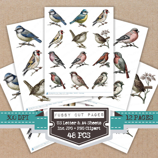 Vintage Botanical Bird Fussy Cut Sheets (DDD014499)