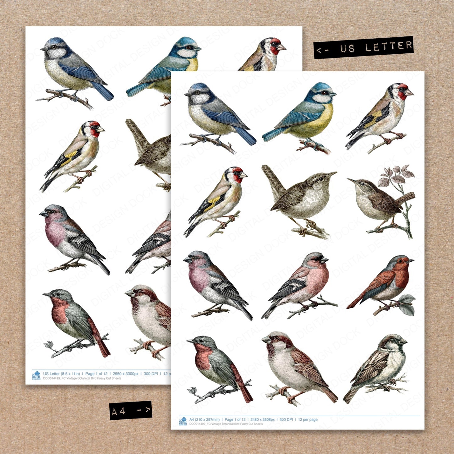 Vintage Botanical Bird Fussy Cut Sheets (DDD014499)