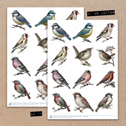 Vintage Botanical Bird Fussy Cut Sheets (DDD014499)
