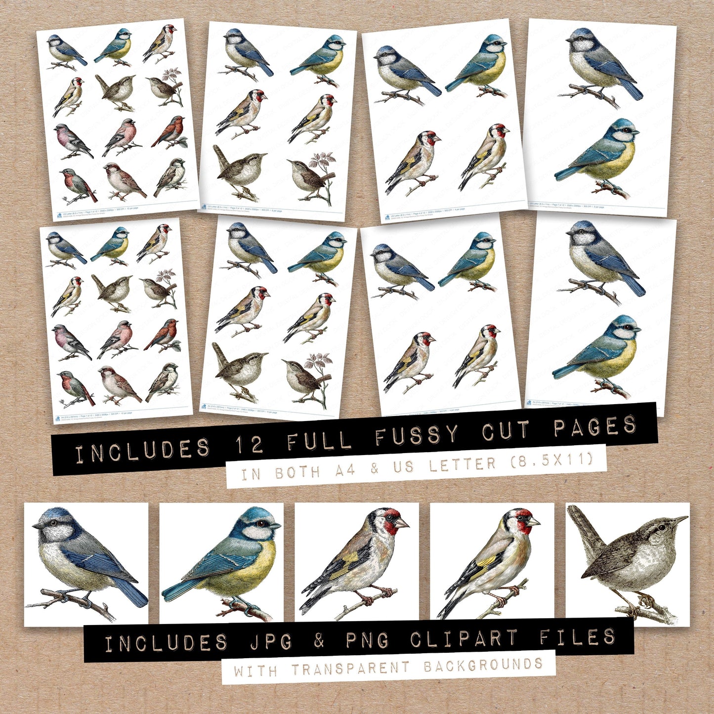 Vintage Botanical Bird Fussy Cut Sheets (DDD014499)