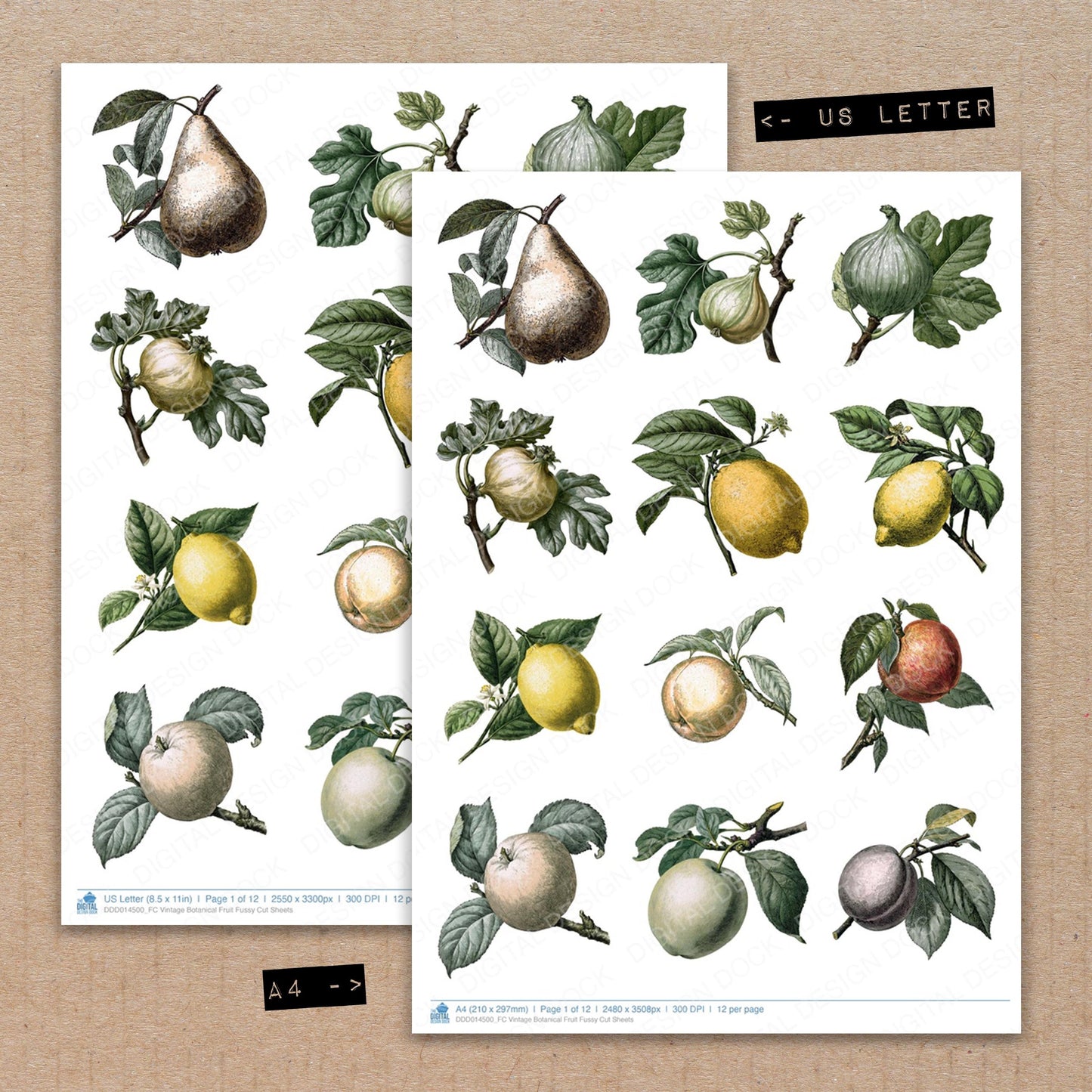 Vintage Botanical Fruit Fussy Cut Sheets (DDD014500)