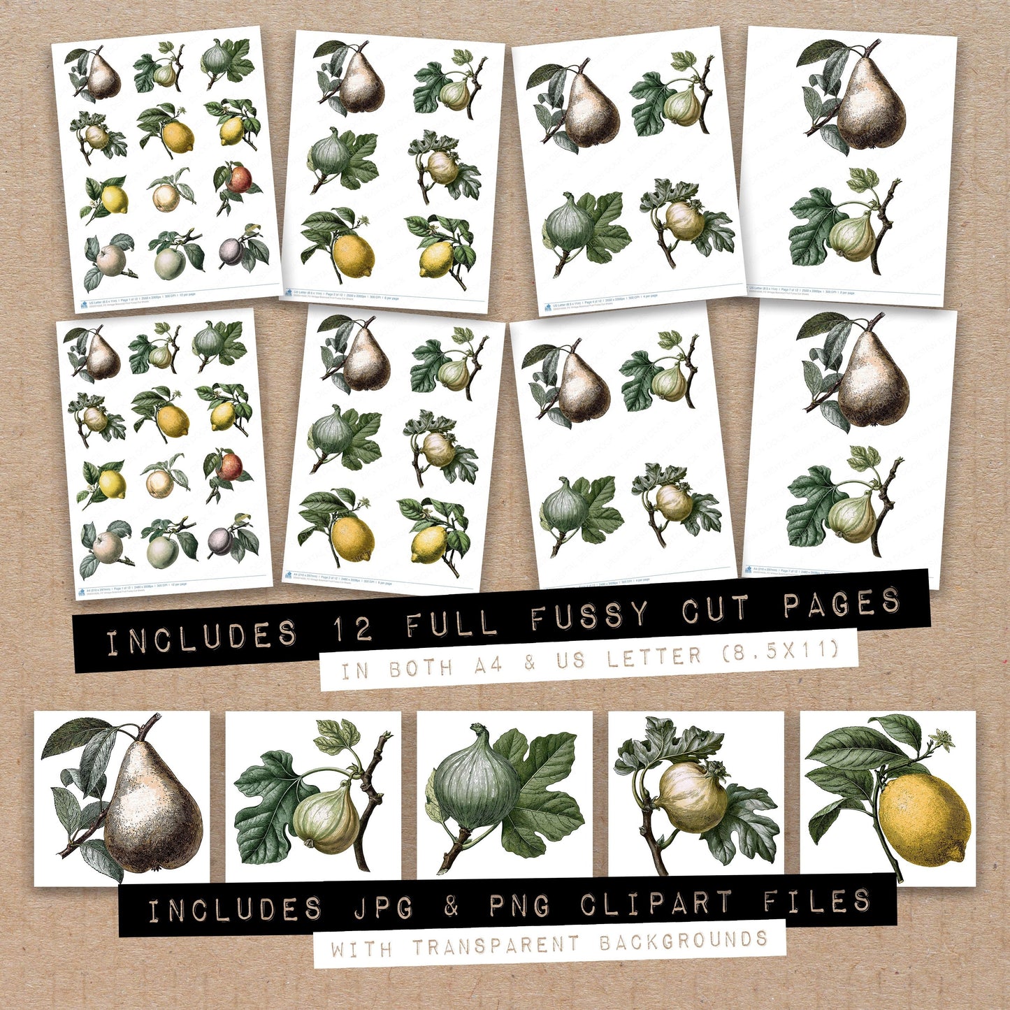 Vintage Botanical Fruit Fussy Cut Sheets (DDD014500)