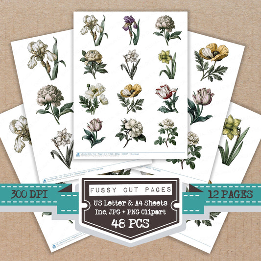 Vintage Botanical Garden Flower Fussy Cut Sheets (DDD014501)