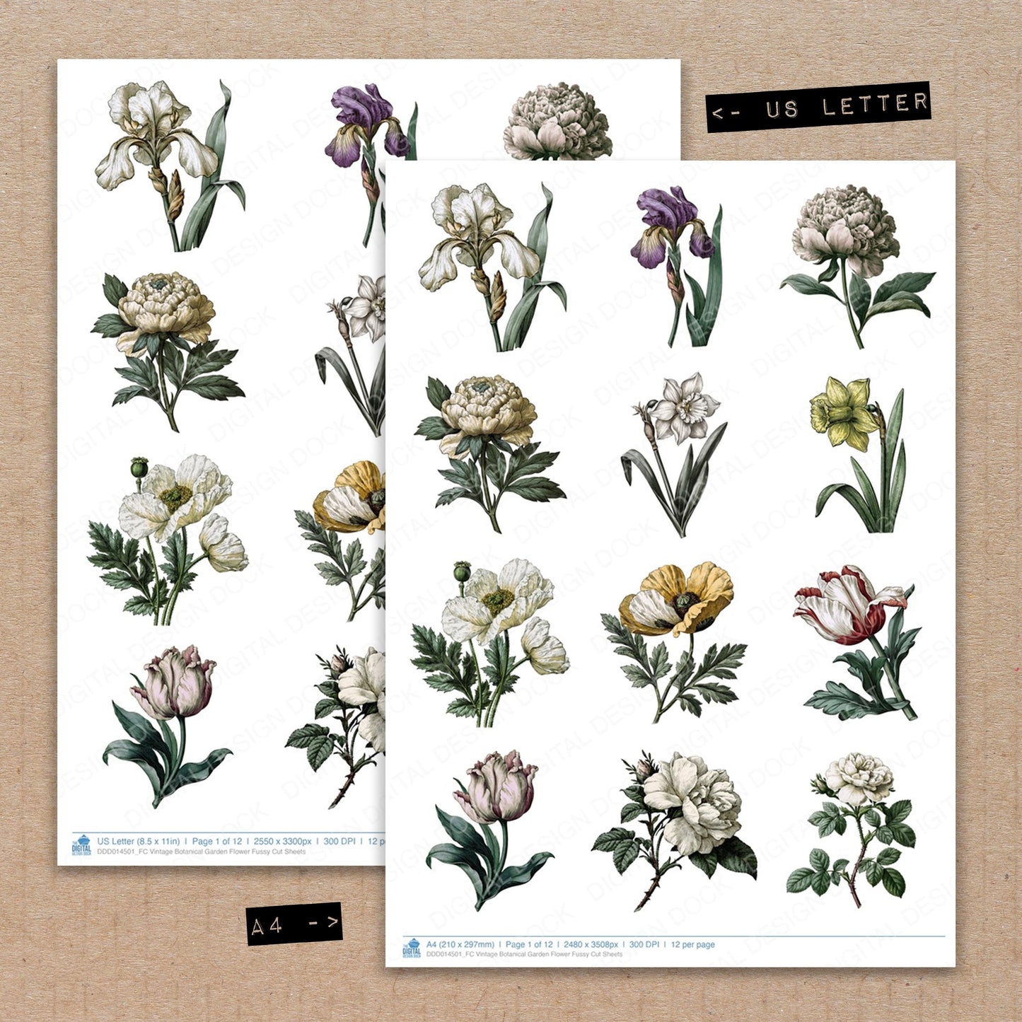 Vintage Botanical Garden Flower Fussy Cut Sheets (DDD014501)