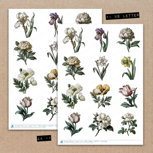 Vintage Botanical Garden Flower Fussy Cut Sheets (DDD014501)
