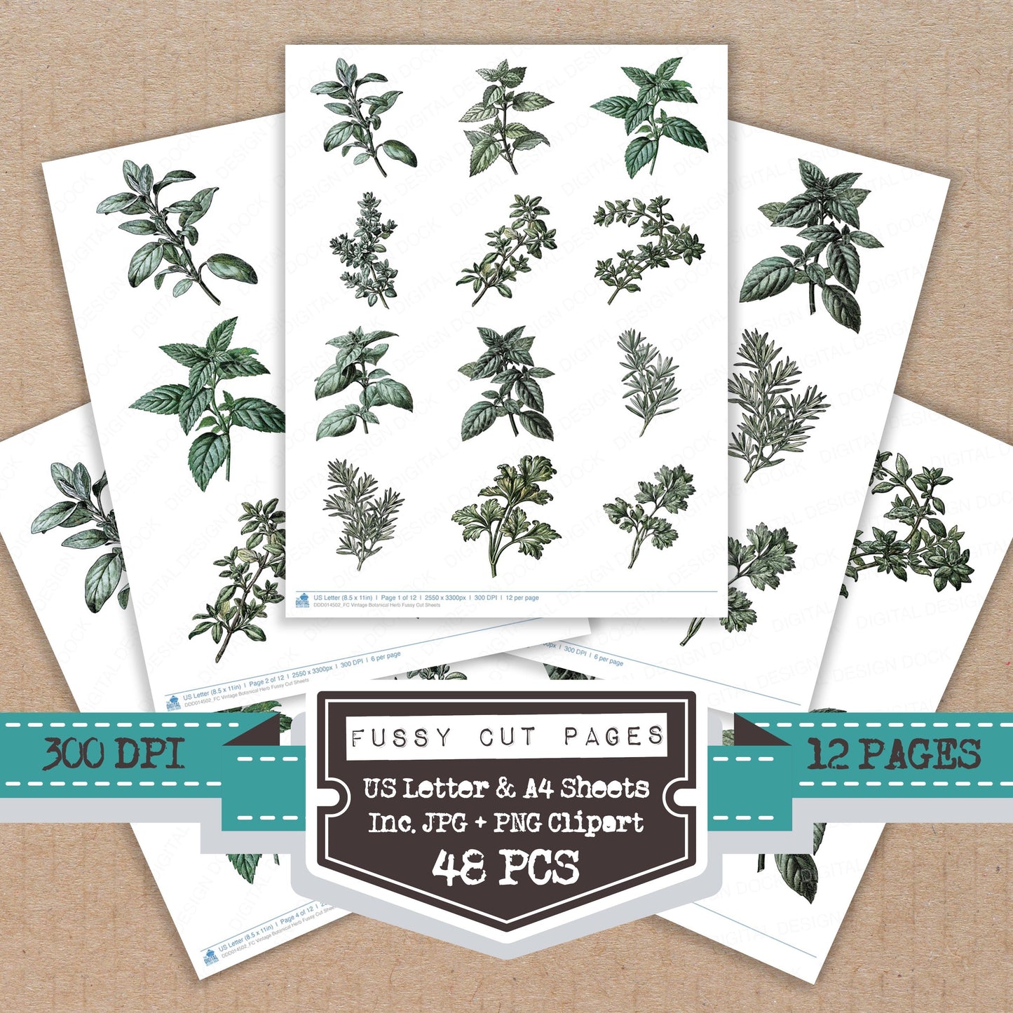 Vintage Botanical Herb Fussy Cut Sheets (DDD014502)