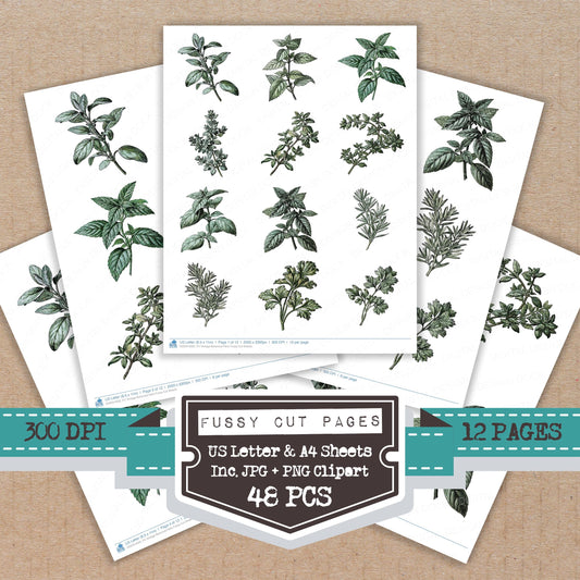 Vintage Botanical Herb Fussy Cut Sheets (DDD014502)