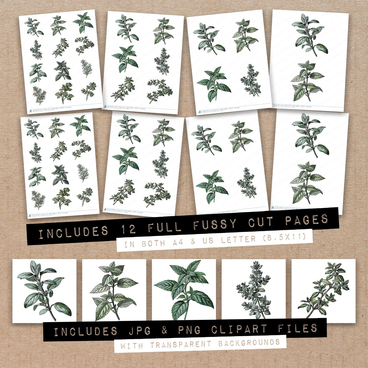 Vintage Botanical Herb Fussy Cut Sheets (DDD014502)
