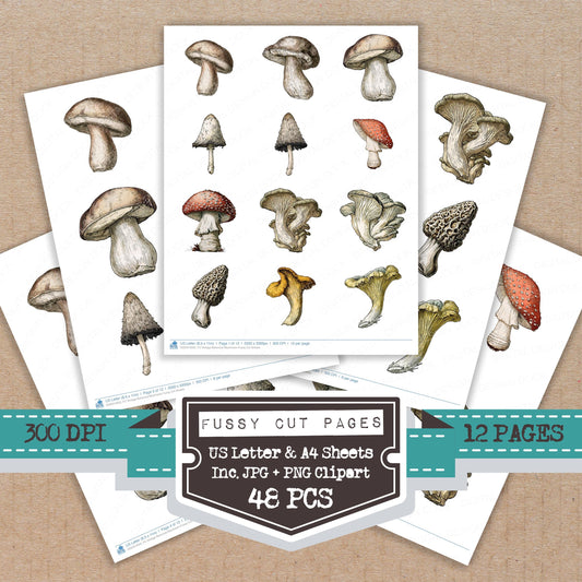 Vintage Botanical Mushroom Fussy Cut Sheets (DDD014503)