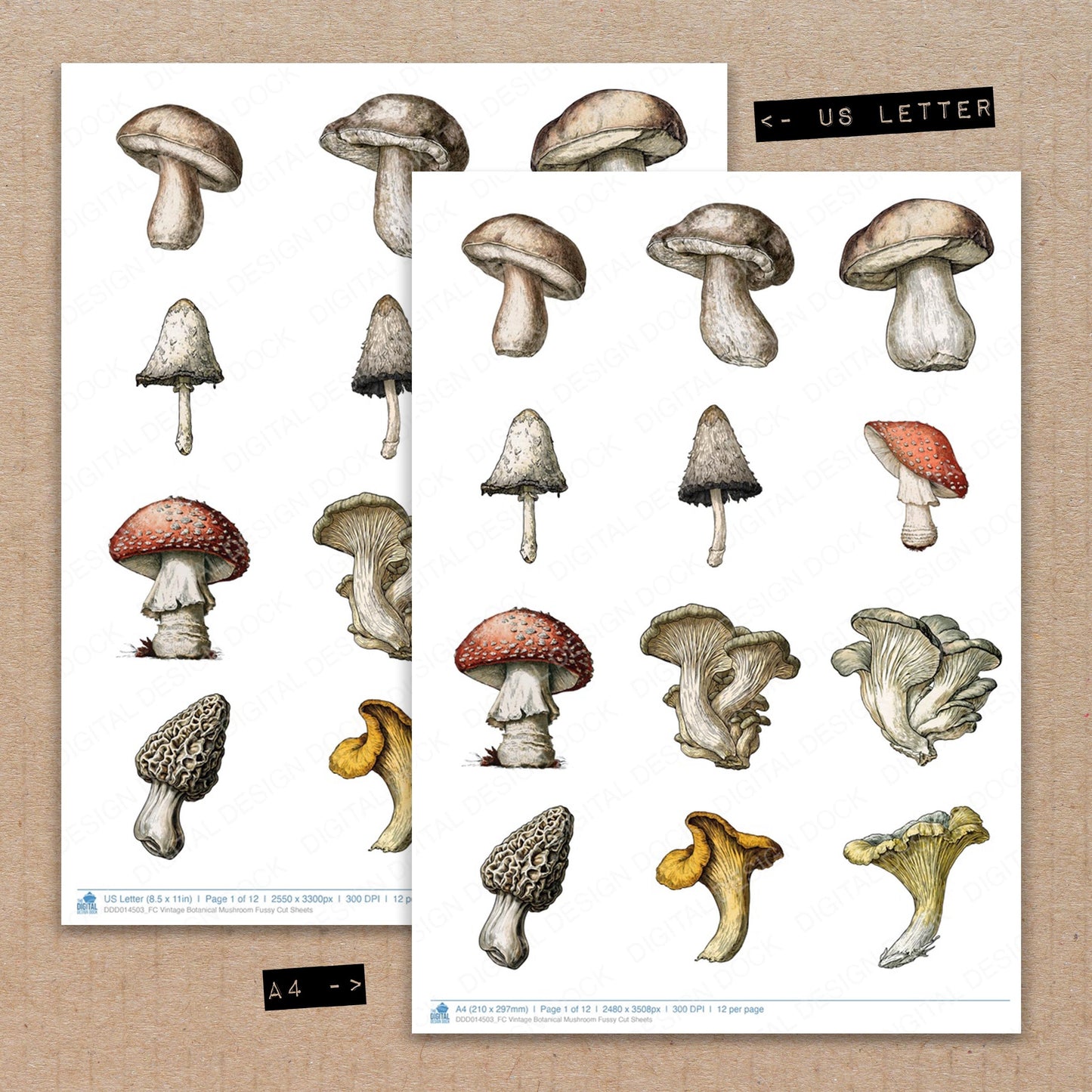 Vintage Botanical Mushroom Fussy Cut Sheets (DDD014503)