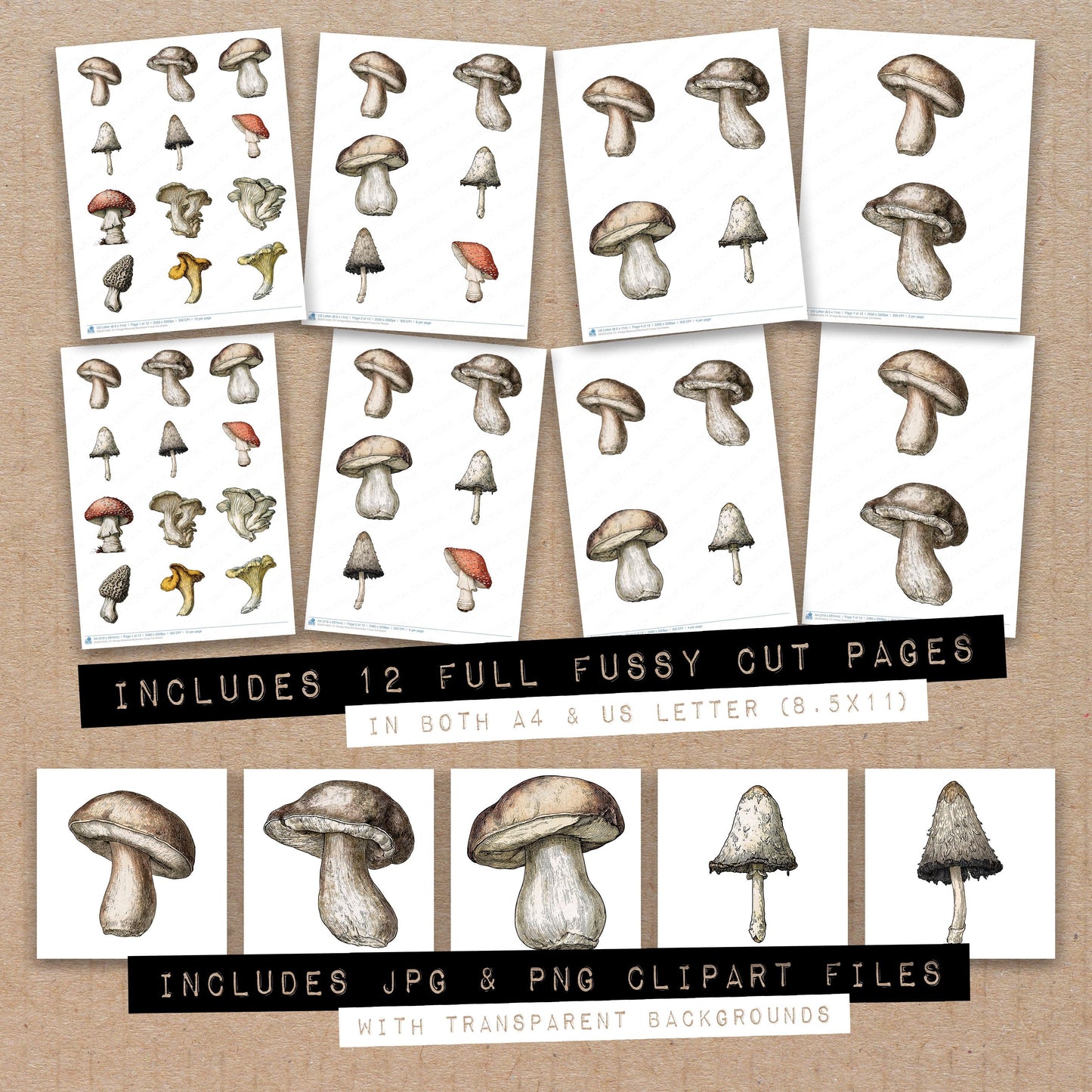 Vintage Botanical Mushroom Fussy Cut Sheets (DDD014503)