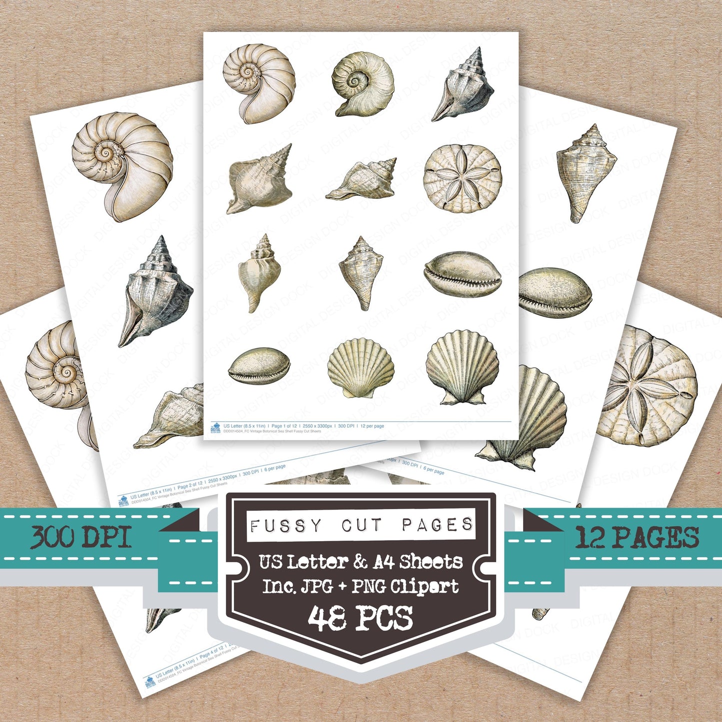 Vintage Botanical Sea Shell Fussy Cut Sheets (DDD014504)