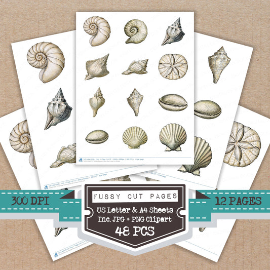 Vintage Botanical Sea Shell Fussy Cut Sheets (DDD014504)